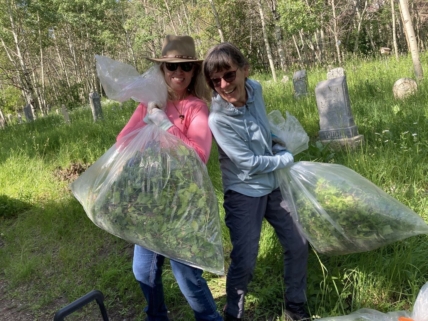 A Rotary team pulling garlic mustard