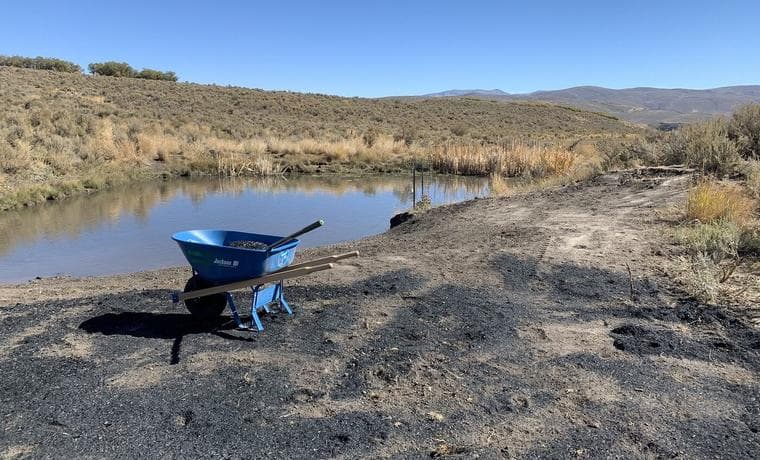 A wheelbarrow of biochar and compost on a treated site